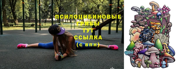 apvp Алзамай