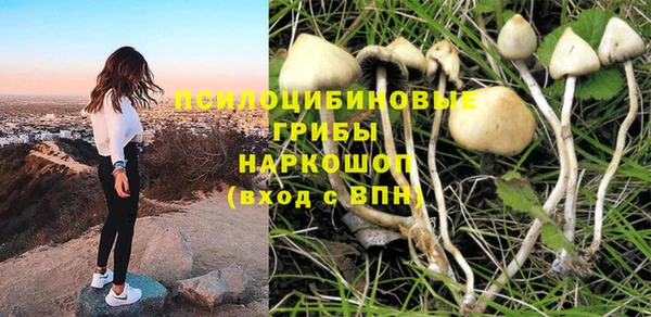 apvp Алзамай