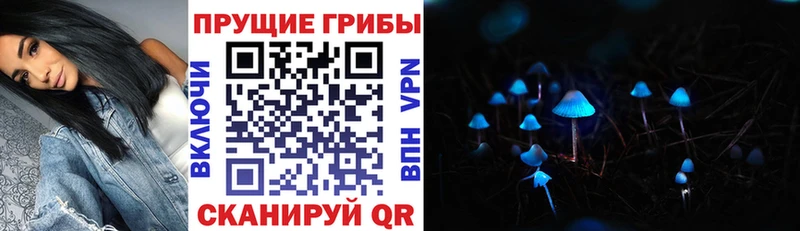 blacksprut рабочий сайт  Краснокамск  Галлюциногенные грибы Cubensis 