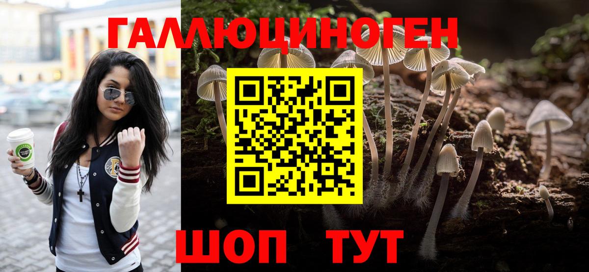 Краснокамск  Псилоцибиновые грибы Psilocybe  Вход с VPN  Псилоцибиновые грибы GOLDEN TEACHER 